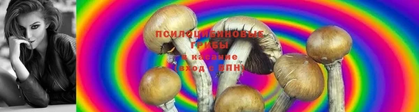 мдма Волоколамск