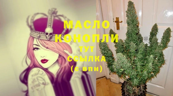 стаф Володарск