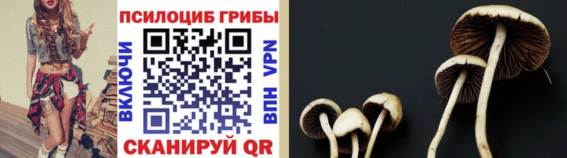 Галлюциногенные грибы ЛСД  блэк спрут ссылки  мориарти клад  Жуковка 