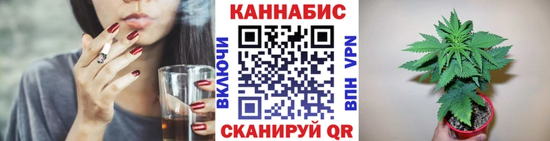 сколько стоит  mega ссылка  Шишки марихуана сатива  Жуковка 